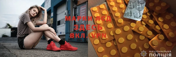 сатива Костерёво