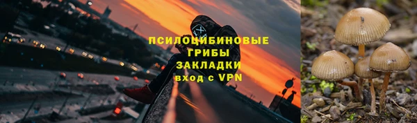 кокс Корсаков