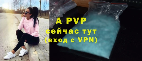 сатива Костерёво