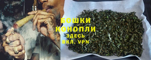 сатива Костерёво