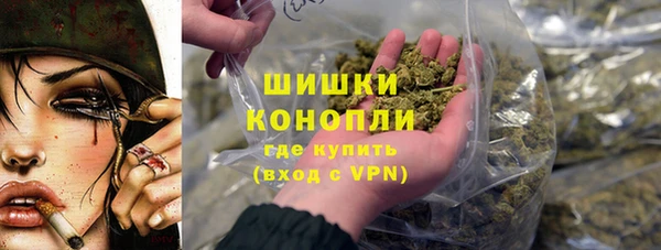 сатива Костерёво