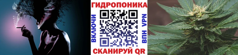 Каннабис сатива  Купить закладки  Белово 